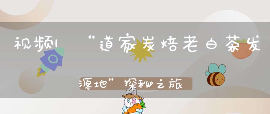 视频|“道家炭焙老白茶发源地”探秘之旅!